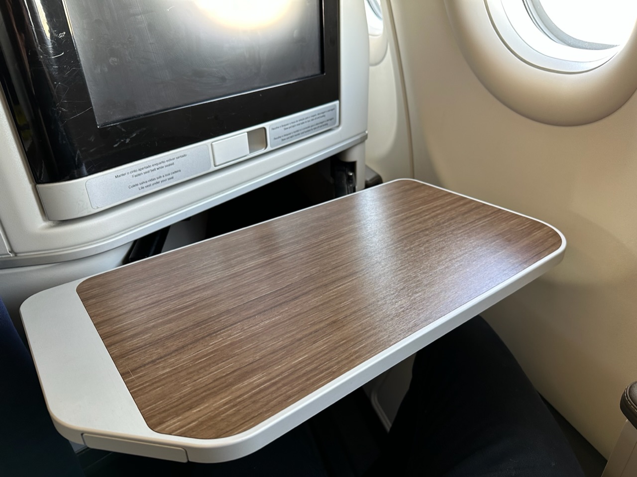 TAP A330 Business Class Lisbon to Sao Paulo Review BoardingGroup.One