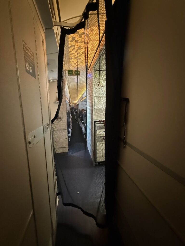 Nets across passageways on Delta Business Class