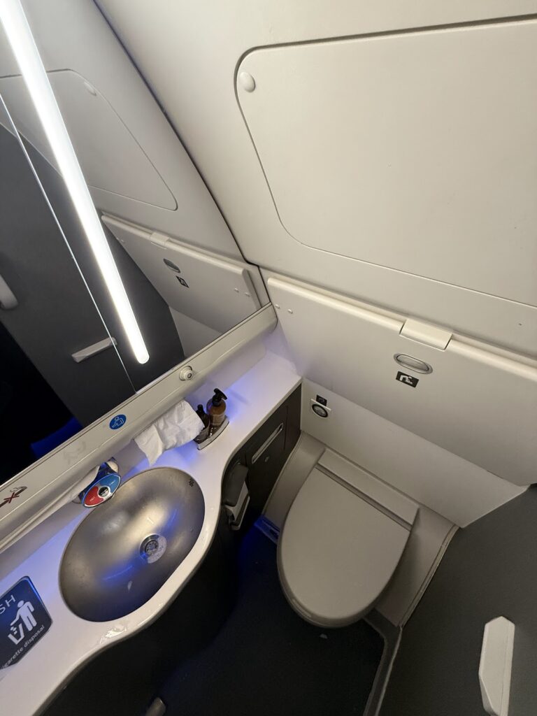 Washroom for Delta Business Class Suite