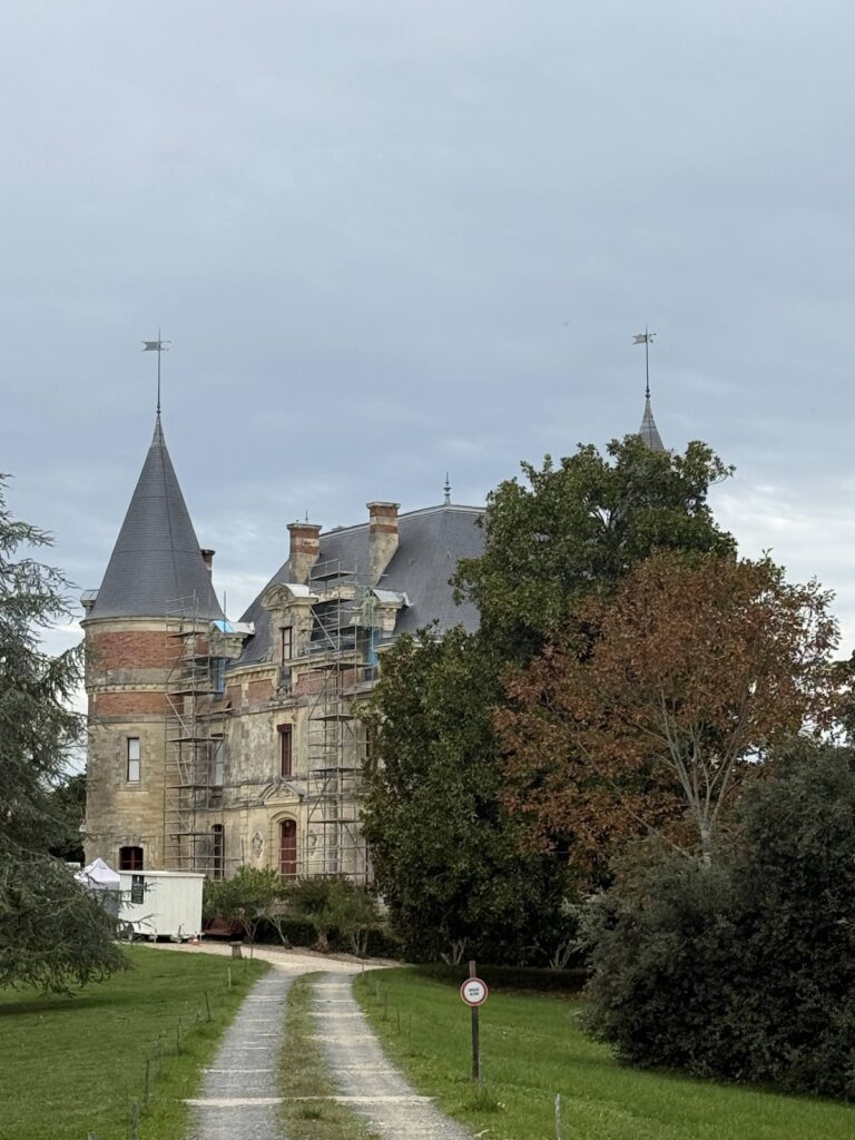 Sauternes Wine
