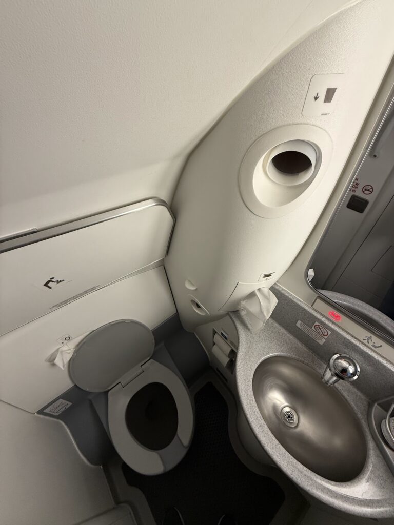 Washroom on LOT European Business Class