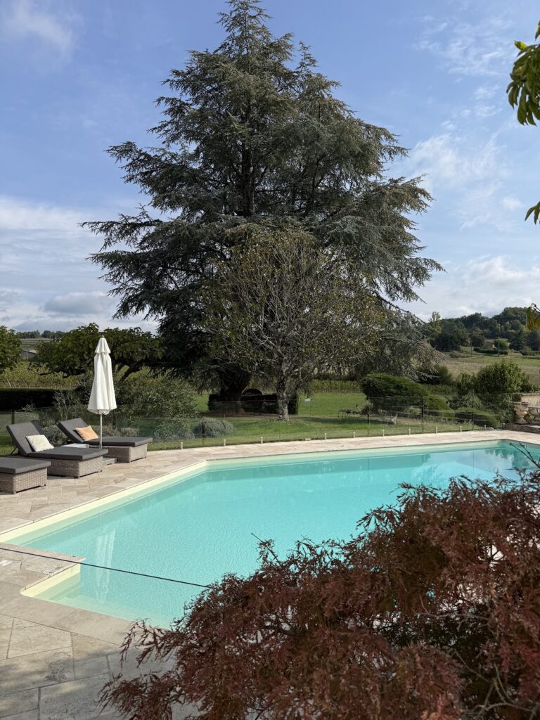 Outdoor pool at Chateau du Palanquey