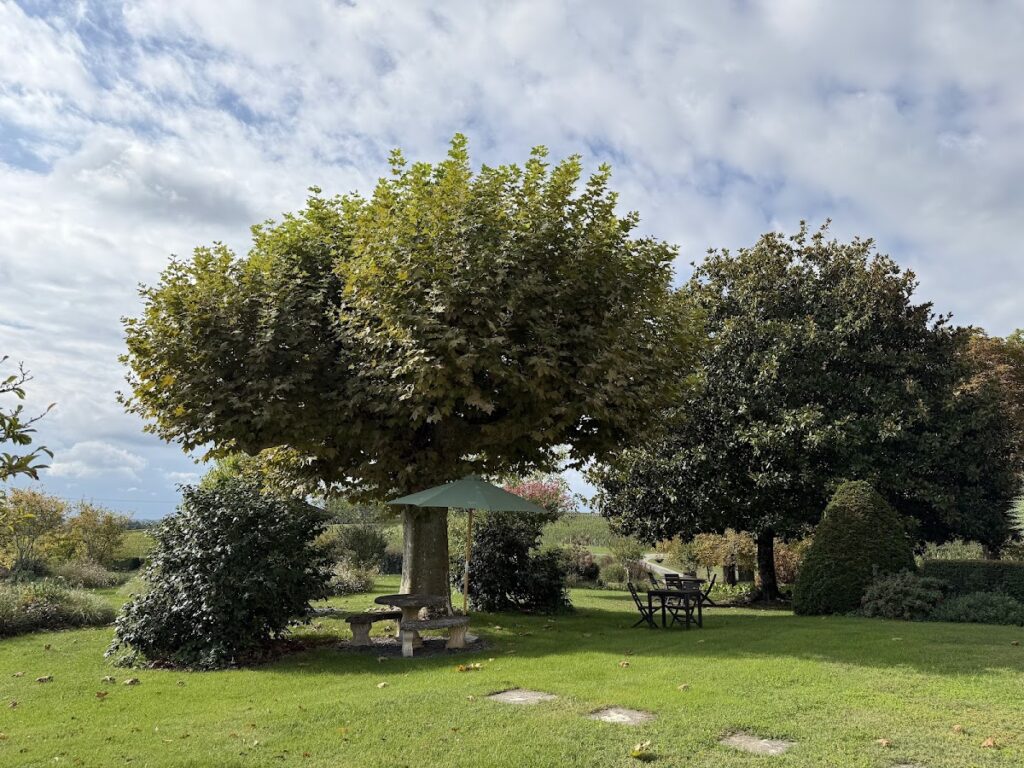Outside Chateau du Palanquey & Spa