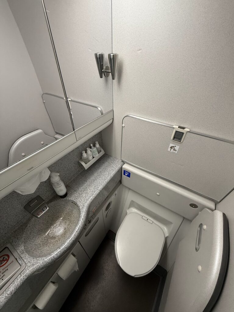 One of the 2 washrooms for BA Club passengers