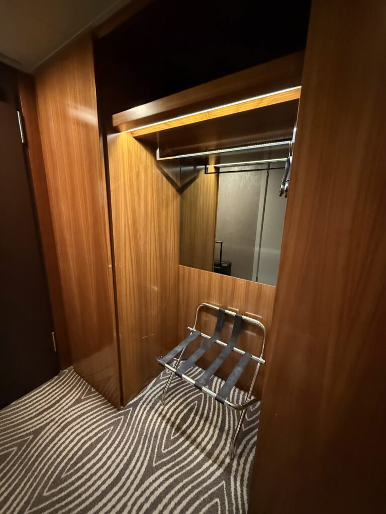 Hanging space in Executive King room at Hilton Berlin