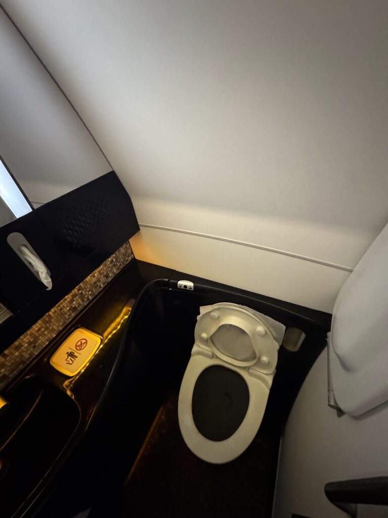 Etihad Business Class
