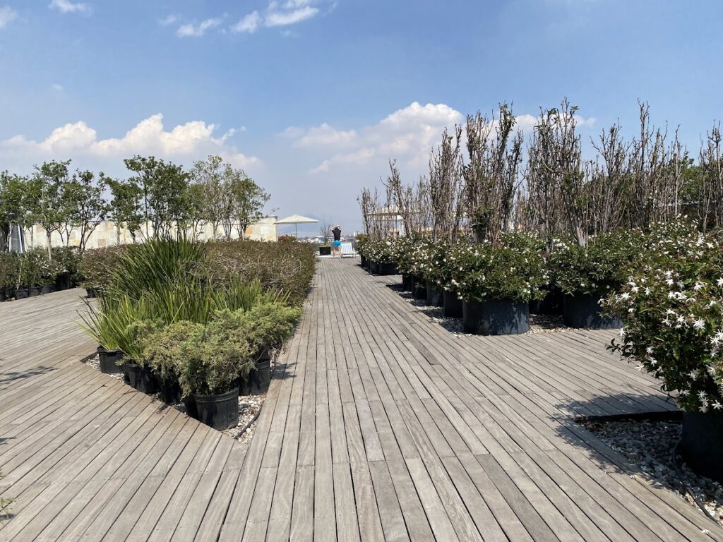 Rooftop terrace with plants at Hilton Mexico City Reforma