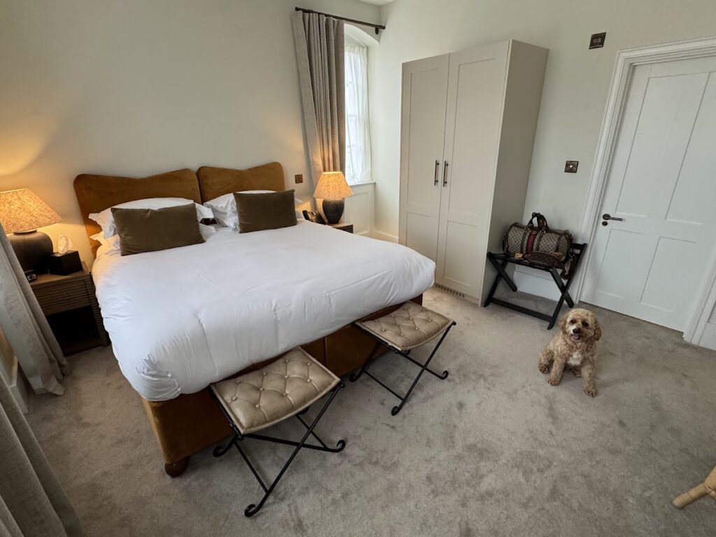Dog-friendly room overview at The Feathers Hotel Woodstock