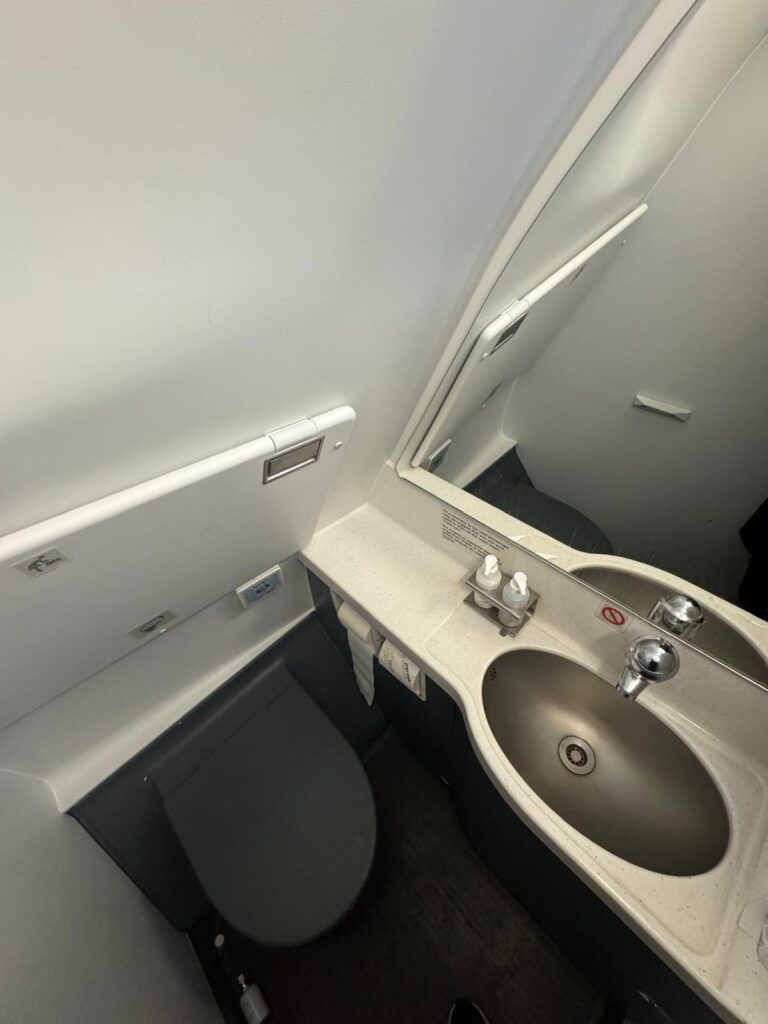 British Airways A320 lavatory with sink and toilet