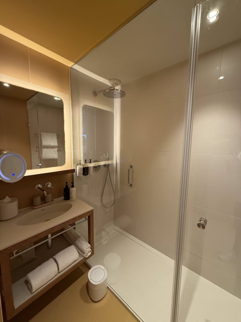 Bathroom vanity and walk-in shower in sea view room
