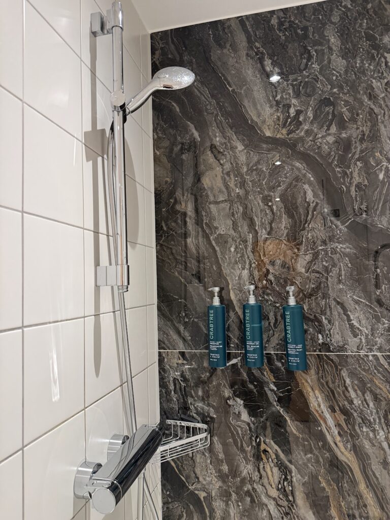 Bathroom shower with wall-mounted toiletries