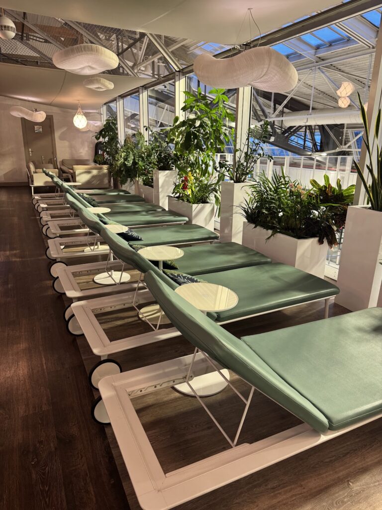 Reclining lounge chairs beside plants and windows