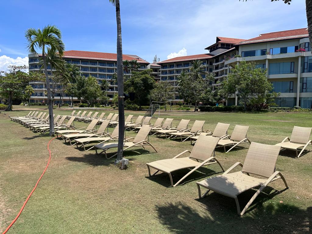 Sun loungers on lawn beside resort buildings