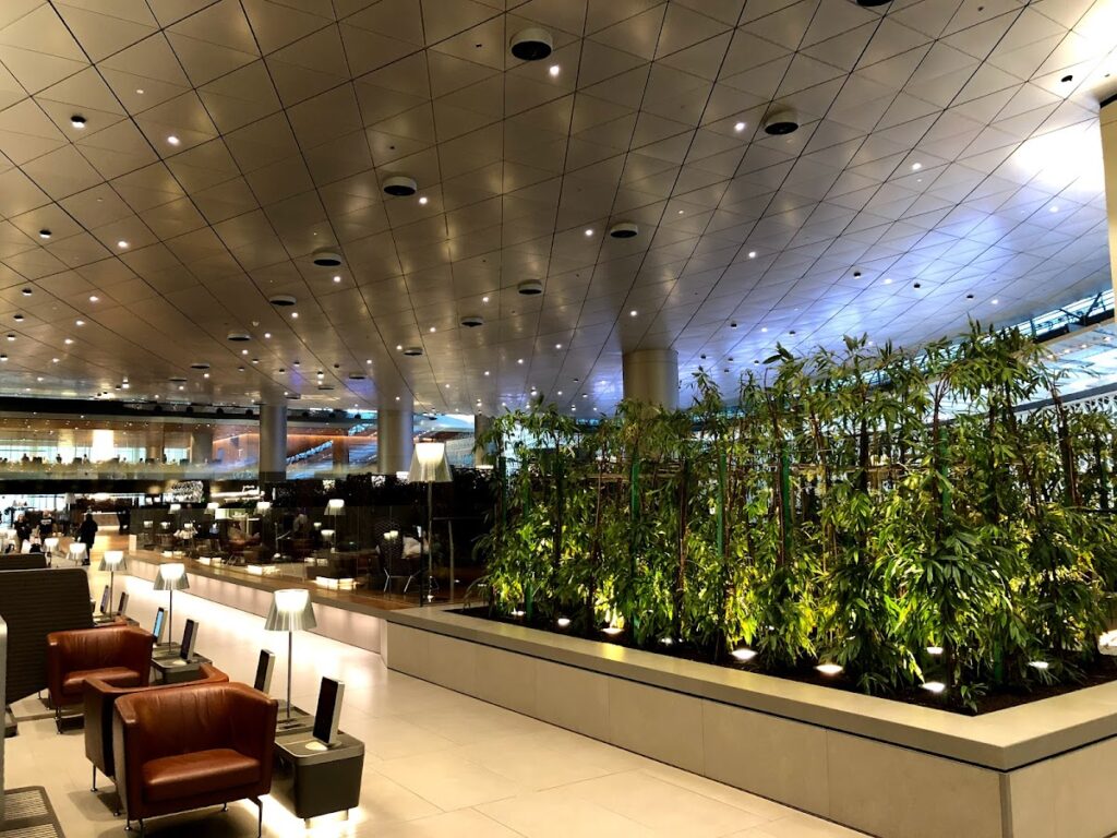 Lounge seating beside illuminated bamboo planters
