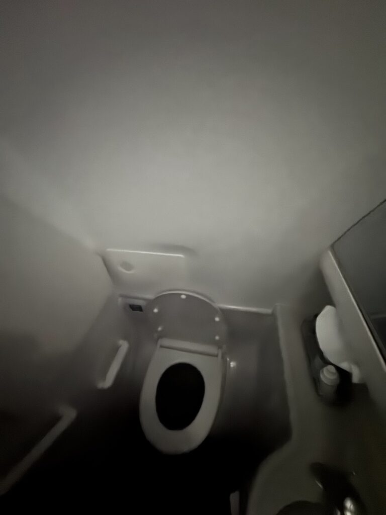 Boeing 737 lavatory with toilet and sink area