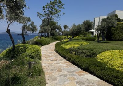 Waterfront pathway with olive trees and Aegean views