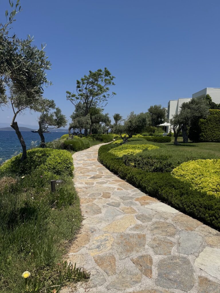 Waterfront pathway with olive trees and Aegean views