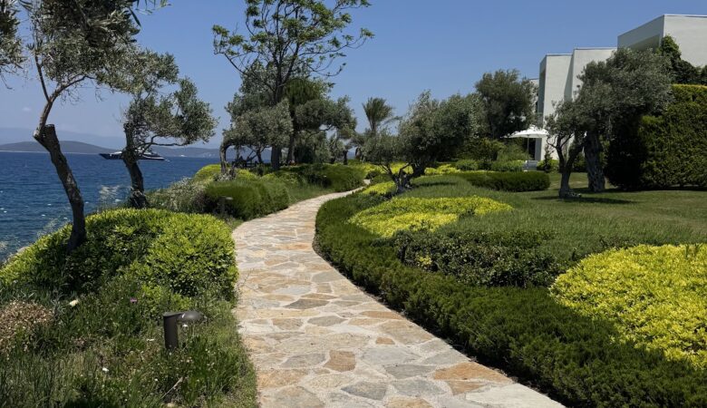 Waterfront pathway with olive trees and Aegean views