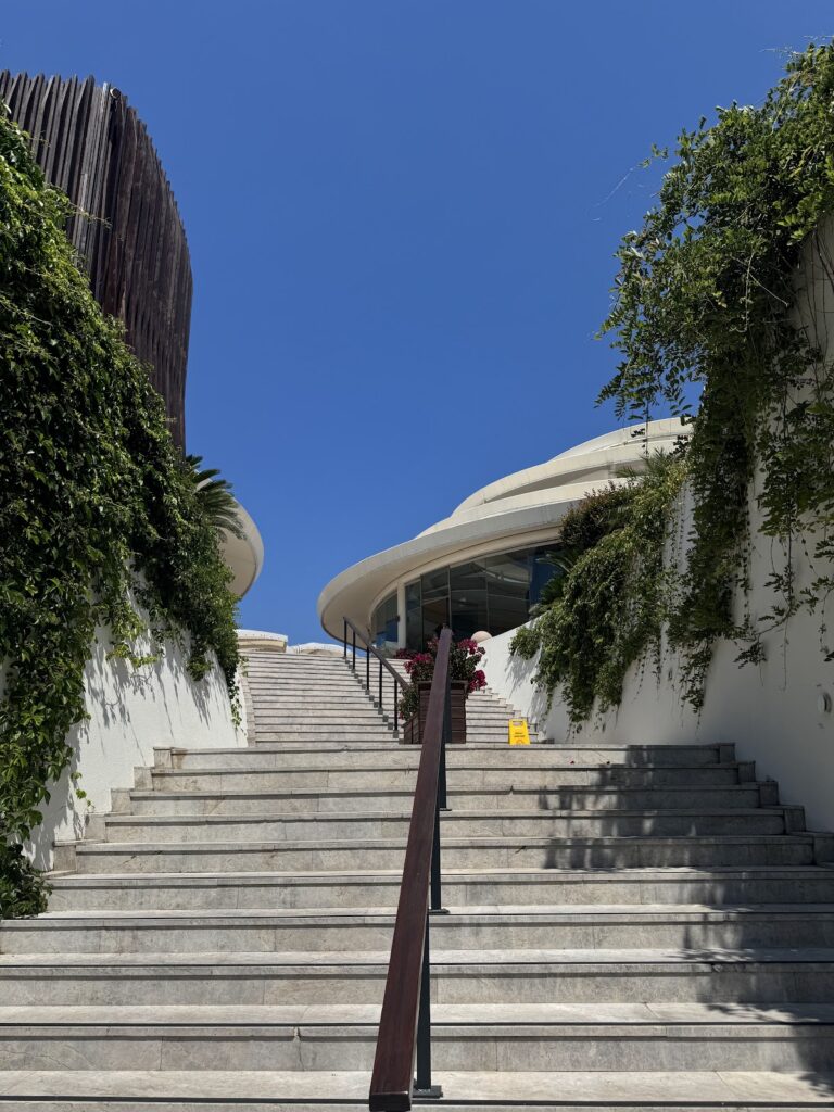 Modern curved architecture with ivy-covered stone steps leading upward