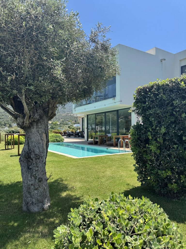 Private villa with turquoise pool and olive trees