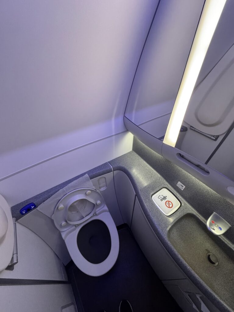 British Airways Economy lavatory interior with modern fixtures