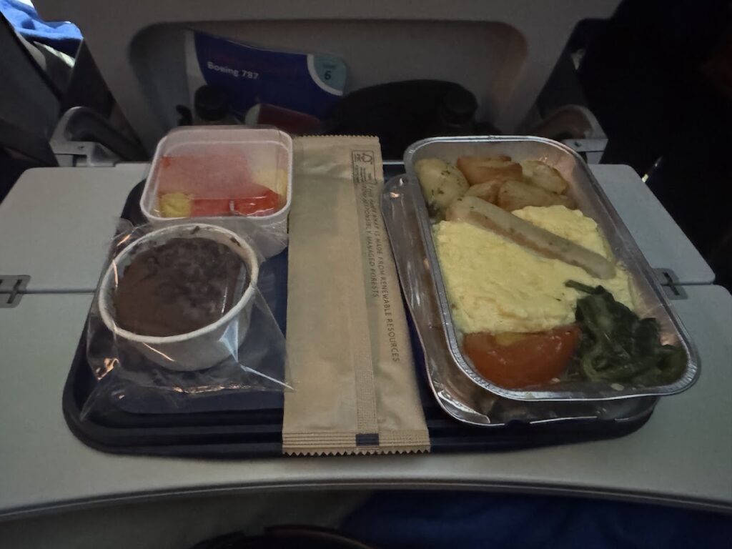 British Airways 787 Economy Class