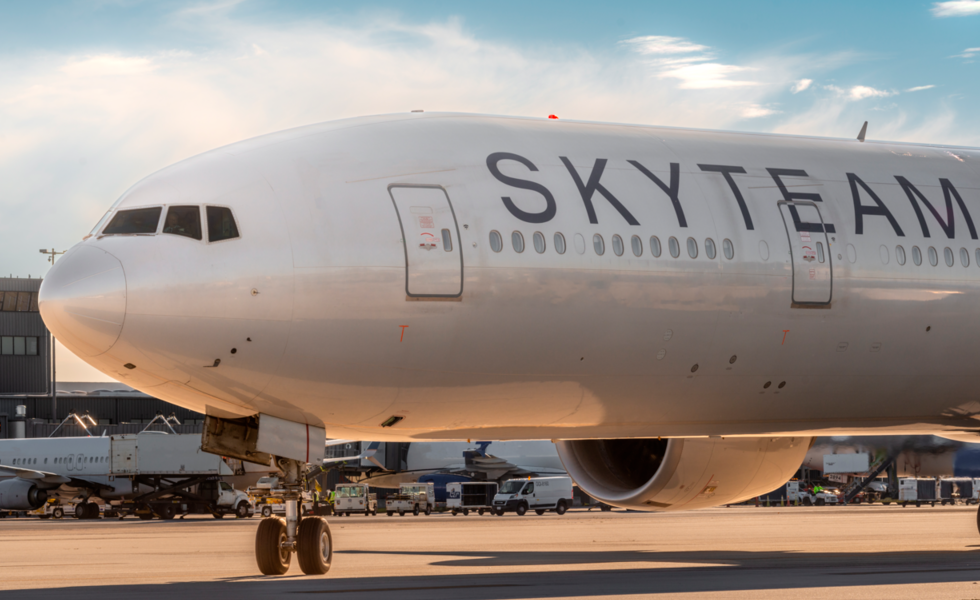Aircraft with SkyTeam livery (source: SkyTeam)