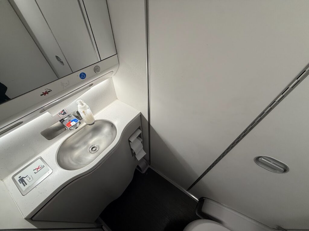 BA premium economy lavatory with modern sink facilities
